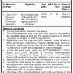Punjab Irrigation Department (DG Khan) Jobs 2019 for Data Entry Operator (Disable Quota)
