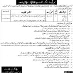 Govt Syed Mittha Teaching Hospital Lahore Jobs 2019 for 21+ Charge Nurses
