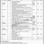 Sindh Population Welfare Department Jobs 2019 for 7+ M&E, IT, Admin, Research, Receptionist and Driver Posts