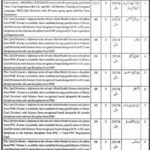 SGAD Punjab Department Jobs 2019 for 36+ Posts (Multiple Categories) (Disable Quota)