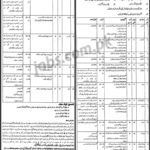 Social Welfare & Baitul Maal Department Punjab Jobs 2019 for 243+ Posts (Multiple Categories) (Multiple Districts)