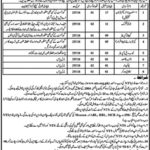 Faisalabad Development Authority (FDA) Jobs 2019 for 11+ Jr Clerks, Computer Operator, Asst Director and Support Staff (Disable Quota)
