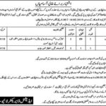 Rawalpindi Livestock Department Jobs 2019 for Veterinary Assistant and Sanitary Worker