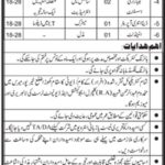 Sindh Archive Department Jobs 2019 for 8+ DEO, Incharge & Other Staff Posts