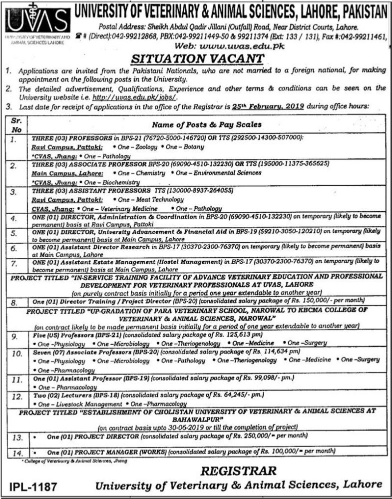 UVAS University Lahore Jobs 2019 for 30+ Teaching Faculty and Project Managers