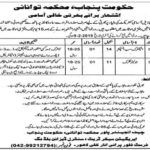 Energy Department Punjab Jobs 2019 for Electric Sub-Inspector and Junior Clerk (Disable Quota)