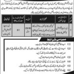 Excise & Taxation Dept Rahim Yar Khan Jobs 2019 for Constable (Disable Quota)