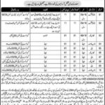 District Education Authority Pakpattan Jobs 2019 for 20+ Junior Clerks and Support Staff (Disable Quota)
