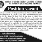 University of Agriculture Peshawar Jobs 2019 for Research Fellows