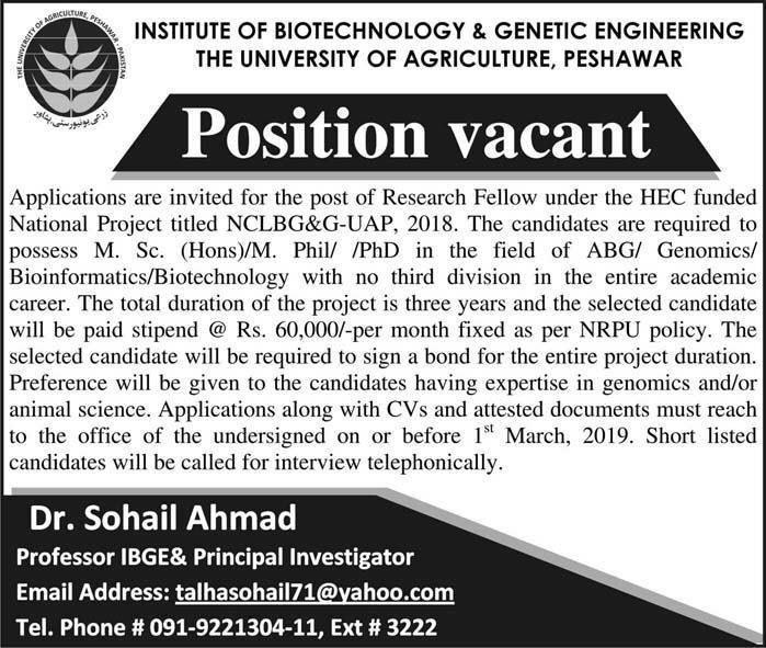 University of Agriculture Peshawar Jobs 2019 for Research Fellows
