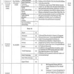 ESE Department KP Jobs 2019 for 156+ IT, Computer Operators and Data Collection & Monitoring Assistants (Download PTS Form)