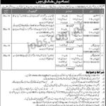 National Commission on Women Status Pakistan Jobs 2019 for 33+ Assistants, Stenotypists, LDC/UDC Clerks