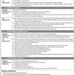 National Industrial Parks Development & Management Company (NIP) Jobs 2019 for Auditor, CTO, CFO and Secretary Posts