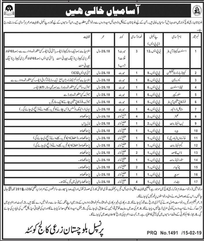 Agriculture College Quetta Jobs 2019 for 27+ IT, Computer Operators, Cameraman, Field Assistants & Other POsts