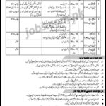 Ministry of Human Rights Pakistan Jobs 2019 for Stenotypits, DMO, Dispatch Rider and Other Support Staff (Download ITS Form)