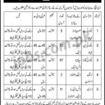 DHA Bahawalpur Jobs 2019 for 97+ Nursing Assistants, Security Guards, JCO/NCO and Drivers