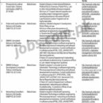 Home & Tribal Affairs Department Balochistan Jobs 2019 for Specialists in Various Fields