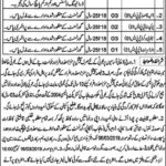 District Health Authority Pakpattan Jobs 2019 for 10+ Driver, Naib Qasid & Other Support Staff (Disable Quota)
