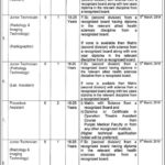Punjab Health Department Jobs 2019 for 40+ Posts (Multiple Categories) (Disable Quota)