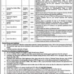 Punjab Food Authority (PFA) Jobs 2019 for 13+ Posts (Multiple Categories) (Disable Quota) (Download NTS Form)