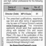 Finance Division Islamabad Jobs 2019 for Director & Advisor