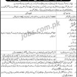 Bakhtawar Cadet College for Girls Jobs 2019 for Medical Officers, Instructors & Teaching Faculty