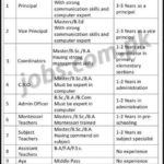 Allied Schools Jobs 2019 for Various Teaching & Non-Teaching Staff