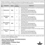 PCB Jobs 2019 for Coaches (Battting/Bowling/WK)