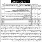 Punjab Agriculture Department Jobs 2019 for 26+ Posts (Multiple Categories) (Disable Quota)