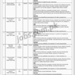 ECAC Council Pakistan Jobs 2019 for 15+ Computer Operators, Admin, Finance, IT, Researchers & Management (Download NTS Form)