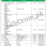 Scienta Vision College Islamabad Jobs 2019 for 50+ Teaching & Non-Teaching Staff