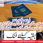 Blue passport monkey share