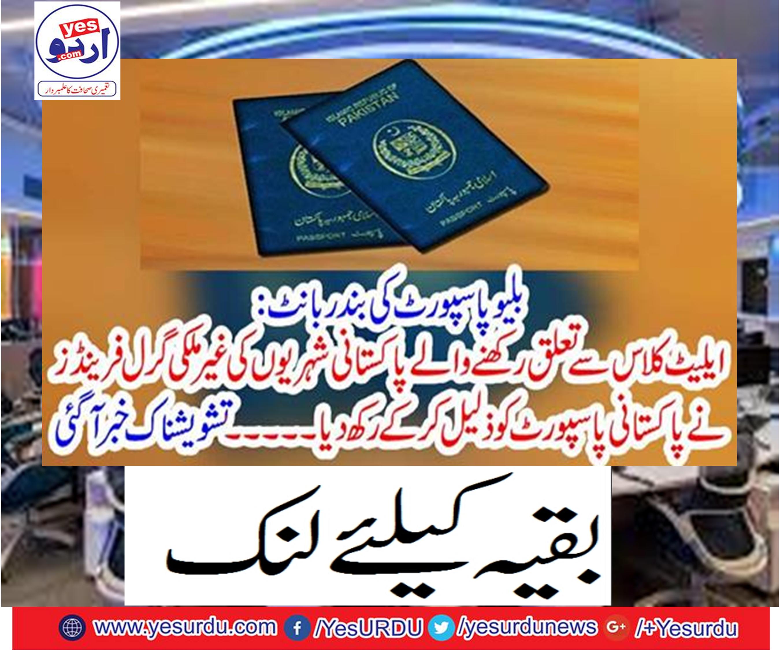 Blue passport monkey share