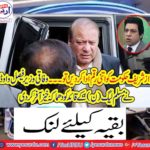 Federal Minister Faisal Woda has blamed the PML-N leader
