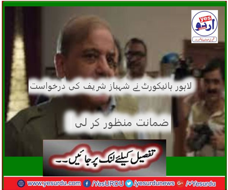 lahore, high court, Lahore, accepted, application, of, Shehbaz Sharief, for, bail