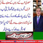 Pakistani Foreign Minister Shah Mehmood Qureshi will go to Japan