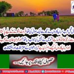 What is the most fertile area in Pakistan?