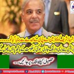 If Shahbaz Sharif removed from the post of PAC chairman will stop law enforcement
