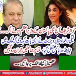 If the deal was to be done then Nawaz Sharif was also the Prime Minister of Pakistan today Hina Pervaiz Butt