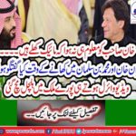 What conversation in Imran Khan and Muhammad bin Salman at the time of dinner?