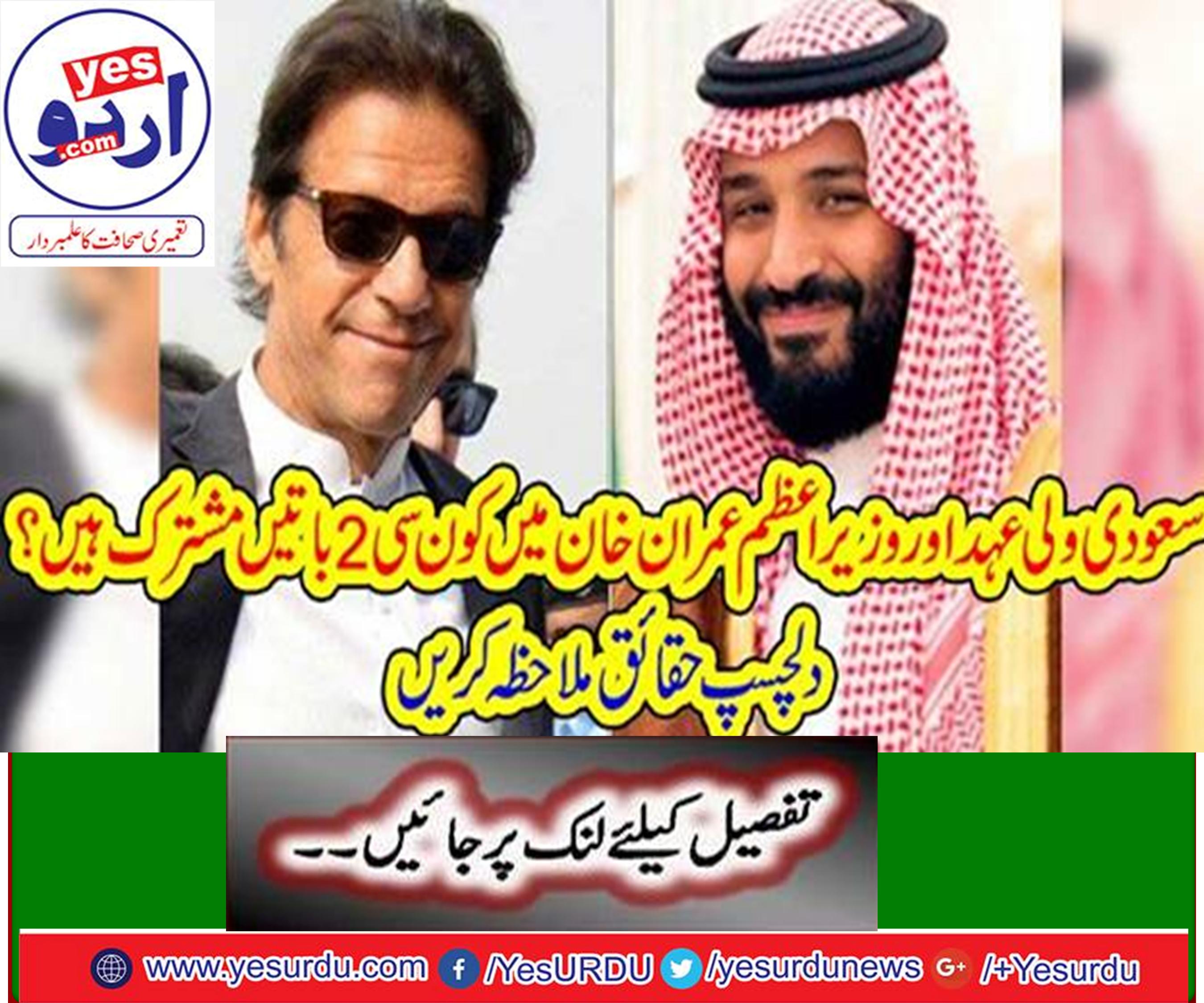 سعودی ولی عہد اور وزیراعظم عمران خان میں کون سی 2 باتیں مشترک ہیں؟