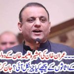 what, was, the, source, of, income, for, aleem khan, important, story
