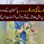 FAR OFF, POLICE OFFICIAL, HARRASSED, BY, WOMEN, SHO
