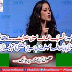 Fatima Bhutto declared the risk to join her and brother Zulfiqar Bhutto Junior in Pakistan's politics