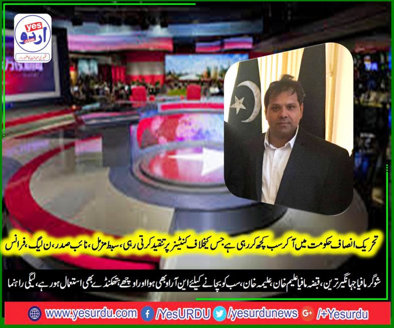 SIBT E MUZAMMAL, VICE PRESIDENT, PMLN, FRANCE