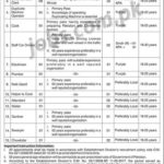 Ministry of Commerce Pakistan Jobs 2019 for 22+ Stenotypists, LDC Clerks, Data Processing Assistants and Support Staff