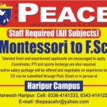 PEACE Group of Schools / Colleges Jobs 2019 for Teaching Staff (Haripur)
