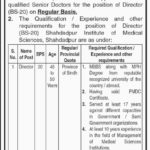 Sindh Health Department Jobs 2019 for the post of Director