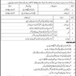 Sindh Revenue Board Test Schedule for Junior Clerks / Naib Qasid Posts