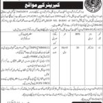 Health Department Sindh Jobs 2019 for Director / Management